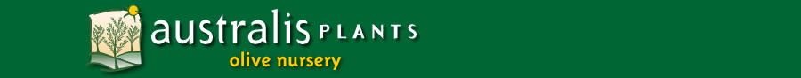 banner Australis plants