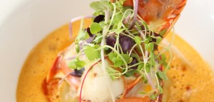 crab-ravioli-with-lobster-medallion-feature