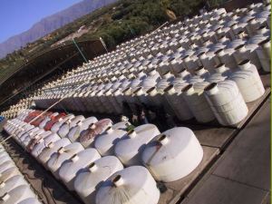 james-smyth-argentina-photo